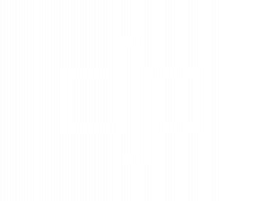 DavidPark_white_logomark
